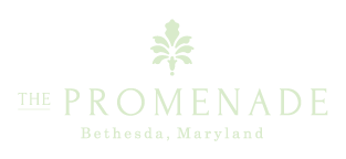 The Promenade WiFi Access